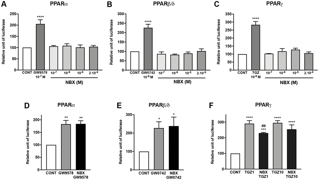 Norbixin does not transactivate PPARs, but inhibits PPARγ transactivation induced by TGZ. Effect of GW9578, GW0742 and TGZ and of increasing norbixin (NBX) concentrations on over-expressed PPARα (A), PPARβ/δ (B) and PPARγ (C). Effect of GW9578 (20 μM), of GW0742 (30 μM) and of TGZ (20 μM) alone or in competition with NBX (20 μM) on over-expressed PPARα (D), PPARβ/δ (E) and PPARγ (F) transactivation. Bars represent mean ± s.e.m. with n = 3–6. *p **p ****p #p 