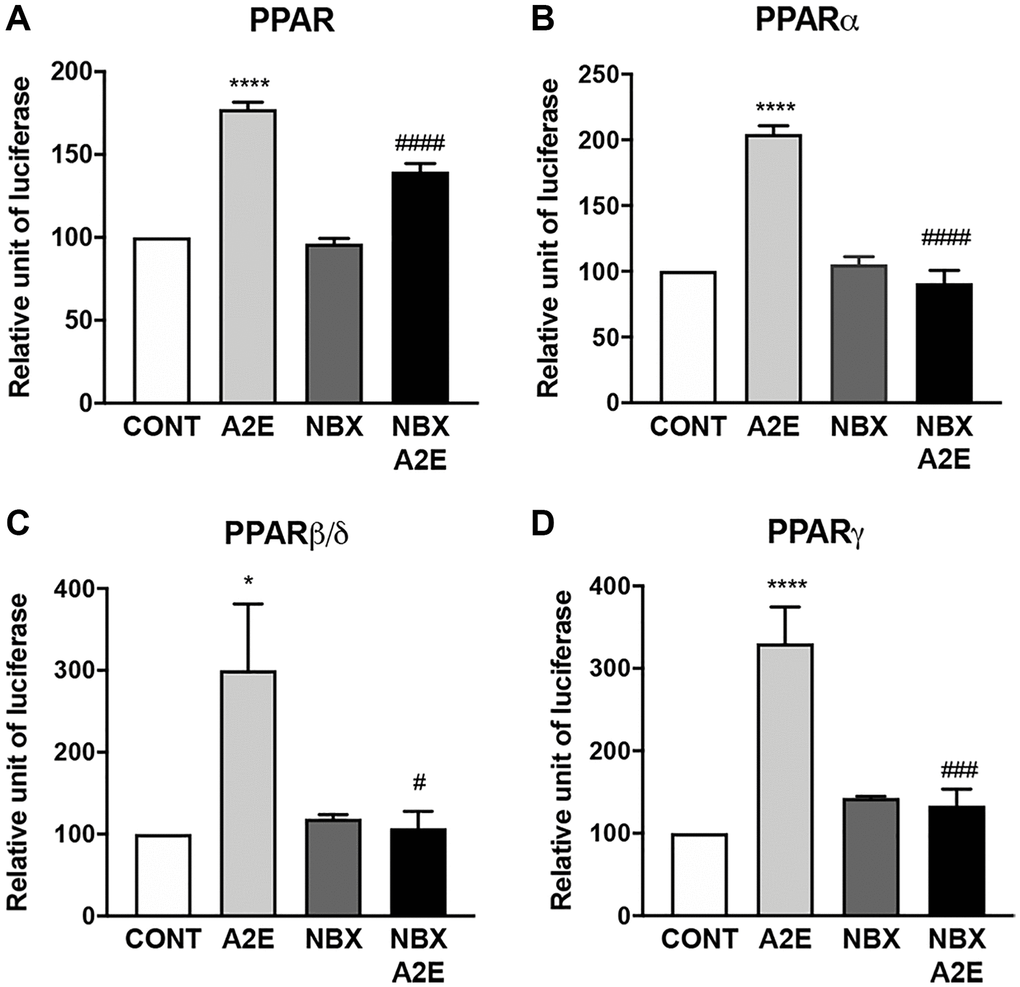 Norbixin inhibits the transactivation of PPARs induced by A2E. Effect of A2E (20 μM), NBX (20 μM) and A2E (20 μM) + NBX (20 μM) on endogenous PPAR transactivation (A). Effect of A2E (20 μM), NBX (20 μM) and A2E (20 μM) + NBX (20 μM) on over-expressed PPARα (B), PPARβ/δ (C) and PPARγ (D). Bars represent mean ± s.e.m. with n = 3–6. *or #p ###p ****or ####p 