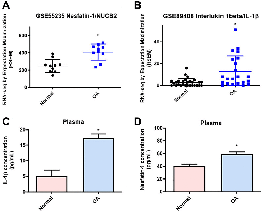 Higher levels of nesfatin-1 and IL-1β in OA synovial tissue than in tissue from healthy controls. (A and B) Levels of nesfatin-1 and IL-1β in normal and OA synovial tissues retrieved from the GEO dataset. (C and D) ELISA analysis showing higher serum levels of nesfatin-1 and IL-1β among OA patients compared with healthy controls. *p 