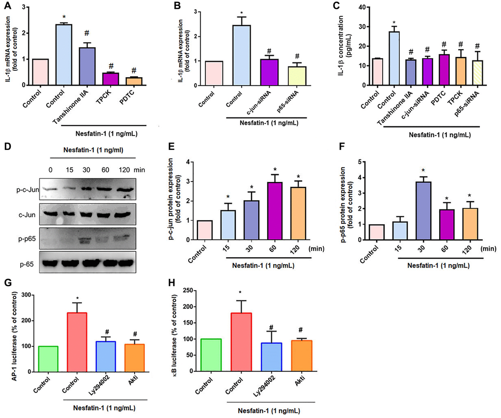 The AP-1 and NF-κB pathways mediate nesfatin-1-induced stimulation of IL-1β. (A–C) OASFs were treated with an AP-1 inhibitor (tanshinone IIA) or NF-κB inhibitor (PDTC and TPCK), or transfected with c-Jun or p65 siRNAs, then stimulated with nesfatin-1. IL-1β expression was examined by qPCR and ELISA. (D) Cells were incubated with nesfatin-1 for the indicated time intervals; c-Jun and p65 phosphorylation was examined by Western blot. (E–F) Quantitative data for p-c-jun and p-p65 were shown. (G and H) Cells were treated with indicated inhibitors then stimulated with nesfatin-1, and AP-1 and NF-κB luciferase activity was examined. *p #p 