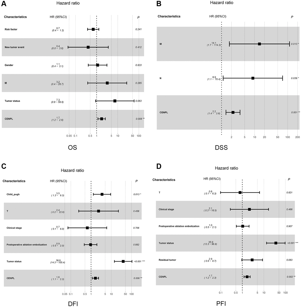 Relationship between clinicopathologic factors and survival outcome of HCC patient through univariate and multivariate Cox regression analysis. (A–D) indicated CENPL may be an independent prognostic factor for poor OS, DSS, DFI and PFI, respectively. Abbreviations: OS: overall survival; DSS: disease-specific survival; DFI: disease-free interval; PFI: progression-free interval.