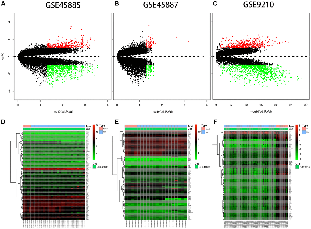 Differential expression analysis. (A, B, C) Volcano plot of DEGs. The y-axis is logFC and the x-axis represents -log10 (adjusted P-value). The red dots represent the DEGs upregulated and the green dots represent the DEGs downregulated while the black dots represent genes that were not differentially expressed. DEGs, differentially expressed genes; FC, fold change. (D, E, F) Heat map presenting the expression pattern across different samples. The horizontal axis represents sample names. The left vertical axis presented clusters of DEGs, and the top horizontal axis presents clusters of samples. Red represents upregulated genes and green represents downregulated genes.