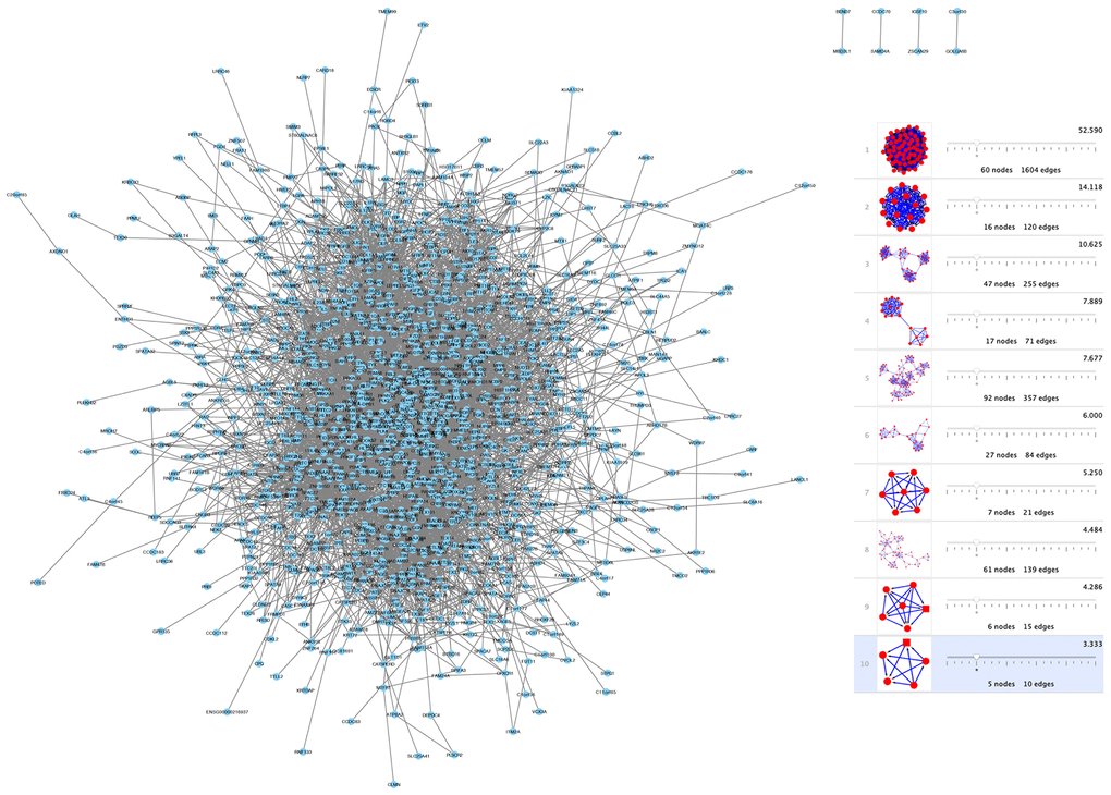 Network and module analysis of DEGs. (left) PPI network of DEGs obtained from the STRING database. (right) 10 clusters identified through Cytoscape-MCODE analysis. Abbreviations: DEGs: differentially expressed genes; PPI: protein-protein interaction.