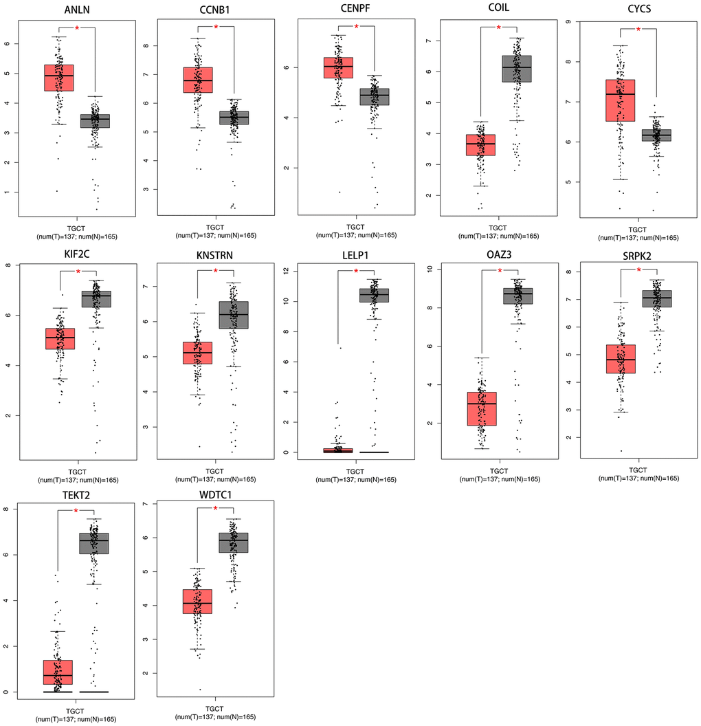 The transcriptional differences of hub gene levels between colon carcinoma tissues and the para-cancer tissues in TCGA. TCGA, The Cancer Genome Atlas (*p 