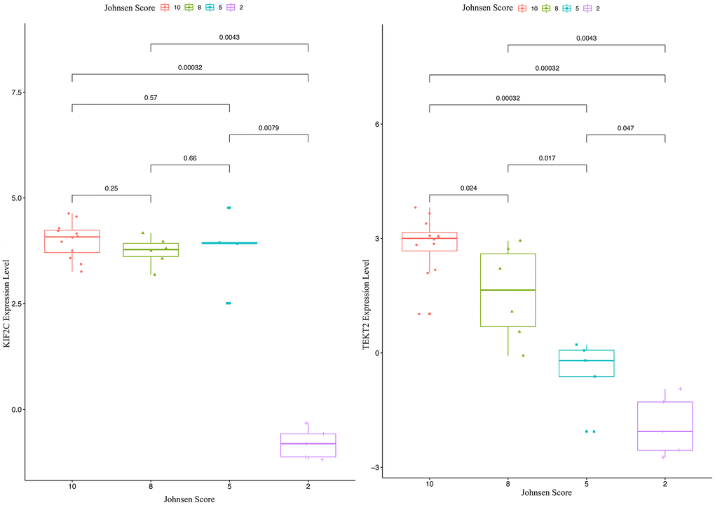 The validation of KIF2C and TEKT2 in GSE4797 associated with male infertility.