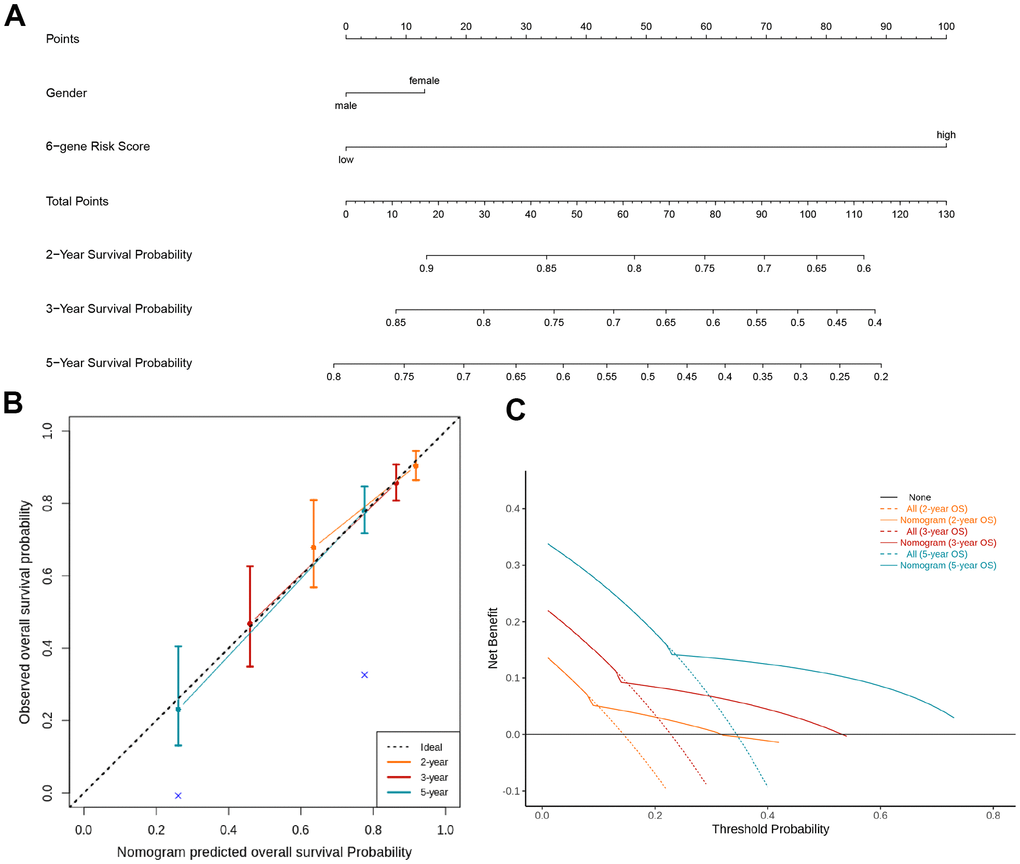 Nomogram and decision analysis curve for predicting the overall survival of KIRC patients. (A) Combining the TIL-CD8Sig score of the TCGA-KIRC cohort data and clinical pathological risk factors to predict the 2-year, 3-year and 5-year overall survival probability. (B) According to the consistency of the prediction and observation results, the correction map of the nomogram was drawn. The performance of the nomogram was shown by the chart relative to the dotted line, which the dotted line indicated a perfect forecast. (C) Nomograph's decision analysis curve. None: Hypothetical events will not occur in any patients (horizontal solid line); All: Hypothetical events will occur in all patients (dotted line), the expected net income based on the nomogram prediction under different threshold probabilities was displayed by it.