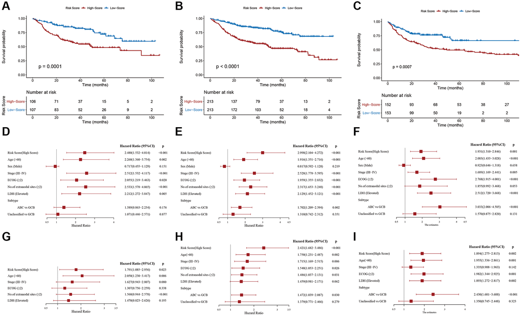 Validation of the prognostic signature. Kaplan-Meier plots of overall survival between high- and low-risk patients in the (A) internal validation cohort, (B) entire GSE31312 cohort, and (C) external validation cohort. Univariate Cox regression analyses in the (D) internal validation cohort, (E) entire GSE31312 cohort, and (F) external validation cohort. Multivariate Cox regression analysis in the (G) internal validation cohort, (H) entire GSE31312 cohort, and (I) external validation cohort.