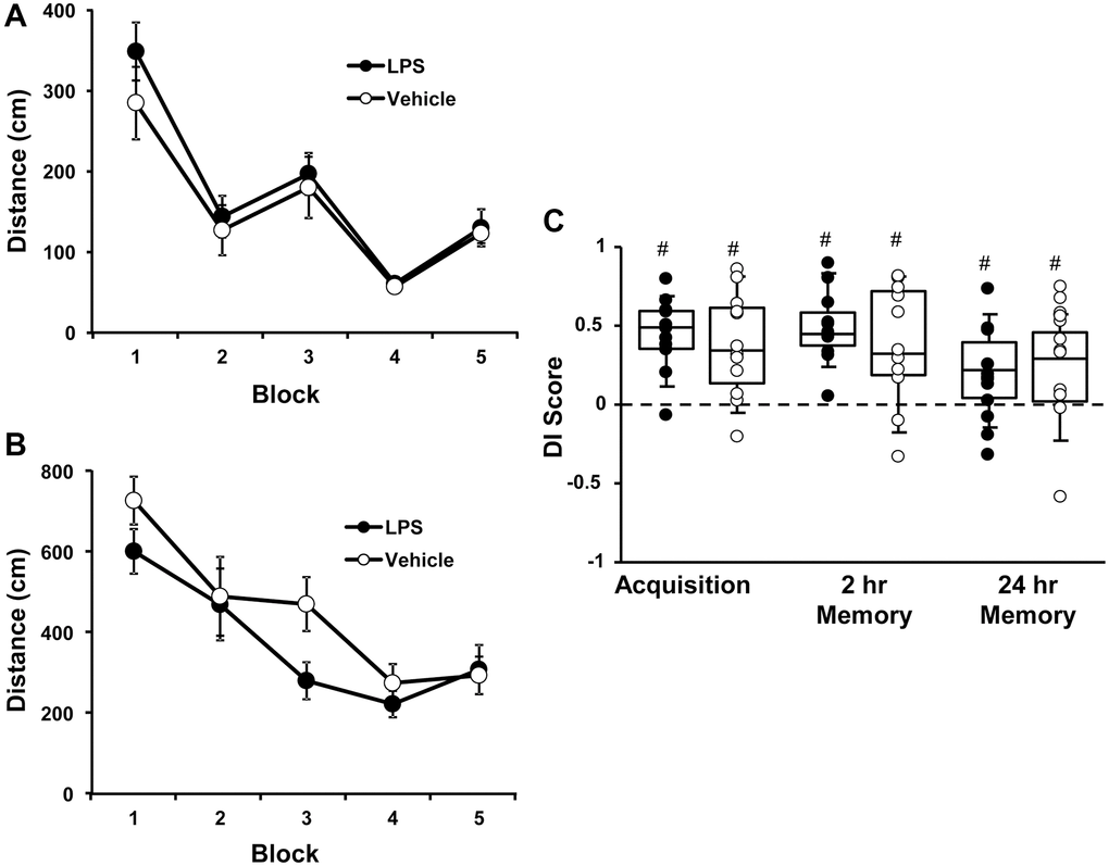 Vehicle and LPS treated animals learn cue and spatial discrimination with no difference in learning or memory at 12 months, 6 months after treatment. Symbols represent mean escape path length (± SEM) for vehicle (open circles) and LPS treated (filled circles) animals over the training blocks for (A) cue and (B) spatial discrimination. (C) Box and whisker plots and individual DI scores from the acquisition, 2 hr and 24 hr probe trials. Pound sign indicates significant difference from chance (p 