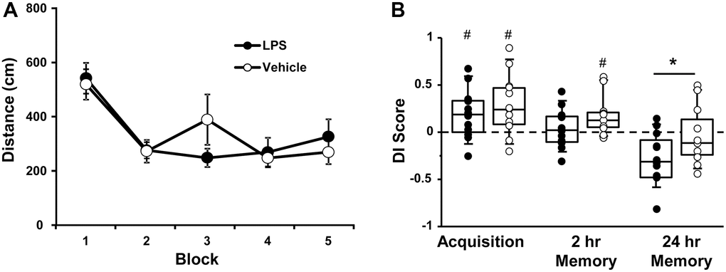 Vehicle and LPS treated animals learn the spatial discrimination and differences in memory emerge at 18 months, 12 months after treatment. Symbols represent mean escape path length (± SEM) for vehicle (open circles) and LPS treated (filled circles) animals over the training blocks for (A) spatial discrimination. (B) Box and whisker plots and individual DI scores from the acquisition, 2 hr and 24 hr probe trials. Pound sign indicates significant difference from chance (p p 