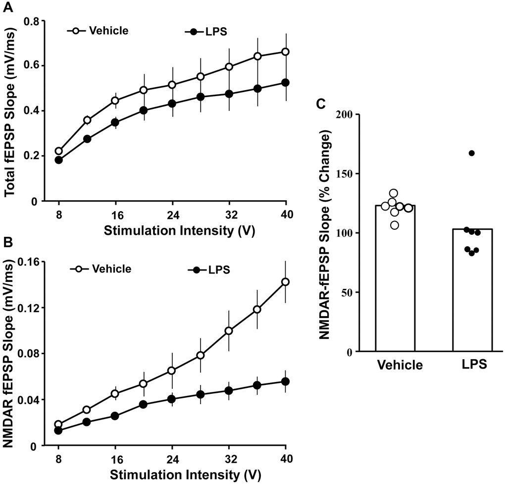 Decreased NMDAR-mediated synaptic responses associated with prior LPS treatment. Input-output curves for the mean slope (± SEM) of the total fEPSP (A) and NMDAR-fEPSP (B) evoked by increasing stimulation voltage (V). Data is presented for the vehicle (open circles) and LPS treatment (filled circles) recorded at 18 months, 12 months after the final LPS or vehicle injection. (C) Bars illustrating mean percentage change in NMDAR fEPSP slope induced by bath application of DTT in slices obtained from LPS (n = 7/4 slices/animal) or vehicle (n = 7/4 slices/animal)-treated animals. The distribution of individual responses is also depicted.
