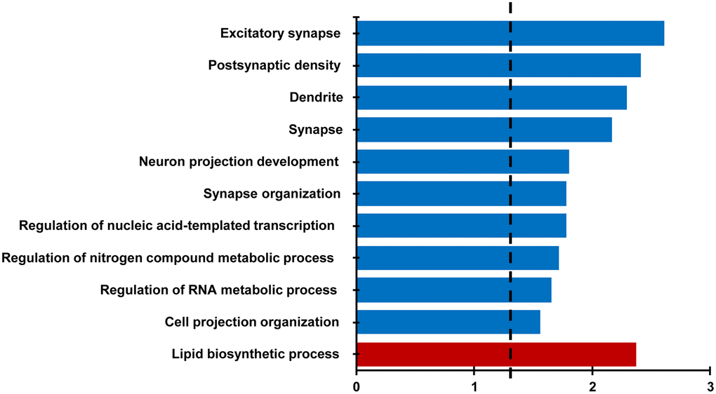Differential gene expression analysis evaluating the effect of treatment in the CA1 region. Bars represent the –log (p value) for selected GO terms that were significant for down regulated (blue) and upregulated (red) genes. Dotted line is the –log (0.05).