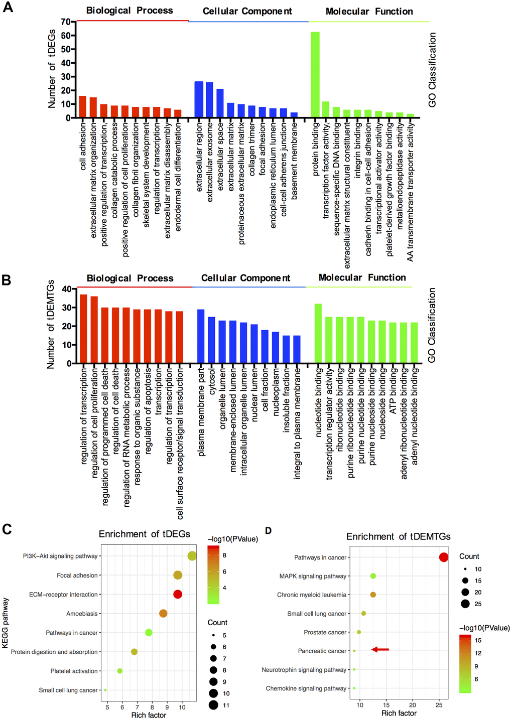 The functional and pathway enrichment analysis of tDEGs and tDEMTGs. (A) Biological process, cellular component and molecular function analysis for tDEGs, top 10 of each GO classification were listed; (B) Biological process, cellular component and molecular function analysis for tDEMTGs; (C) KEGG pathway enrichment analysis for tDEGs, top 8 were listed; (D) KEGG pathway enrichment analysis for tDEMTGs.