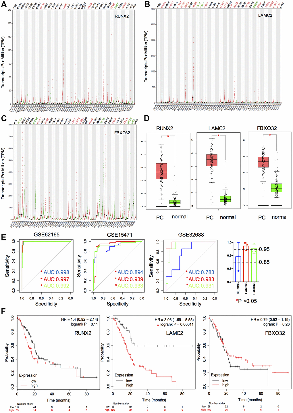 Expression, ROC and survival analysis of key genes. (A–C) Differential expression of key genes (RUNX2, LAMC2 and FXBO32) in various tumor and non-tumor tissues. (D) Differential expression of key genes in PC patients and normal controls. (E) ROC curve of key genes in GSE62165, GSE15471 and GSE32688. (F) Survival analysis of key genes in TCGA PAAD cohort.