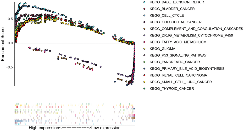 GESA analysis of DCP1A.