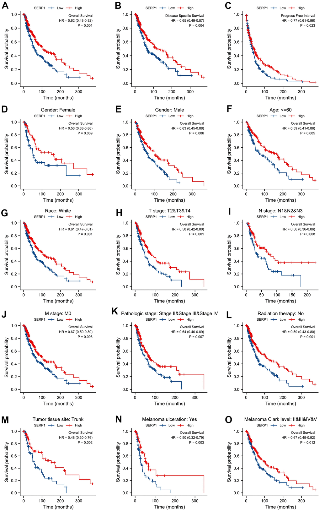 Correlations between SERP1 and prognosis in SKCM patients. (A) OS Kaplan-Meier curve for SERP1 in SKCM patients, (B) DSS Kaplan-Meier curve, (C) PFI survival Kaplan-Meier curve, (D–O) OS Kaplan-Meier curve of statistically significant subgroups for (D) Female, (E) male, (F) Age≤60, (G) Race white, (H) T stage (T2-T4), (I) N stage (N1-N3), (J) M stage (M0), (K) Pathologic Stage (Stage II-IV), (L) Radiation therapy No, (M) Tumor tissue site Trunk, (N) Melanoma ulceration Yes, (O) Melanoma Clark Level (Stage II-V).