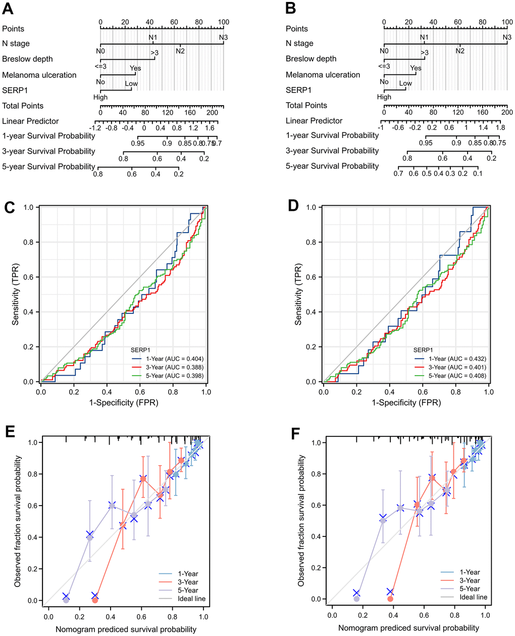 The prognostic nomogram for predicting OS and DSS probability. (A) The prognostic nomogram for predicting OS probability by the multivariable Cox regression model via the four statistically significant predictors, such as SERP1, N stage, Melanoma ulceration and Breslow depth. (B) The prognostic nomogram for predicting DSS probability. (C) The time-dependent ROC curves of OS for 1, 3, 5 year. (D) The time-dependent ROC curves of DSS for 1, 3, 5 year. (E) The calibration curve of OS for 1, 3, 5 year. (F) The calibration curve of DSS for 1, 3, 5 year.