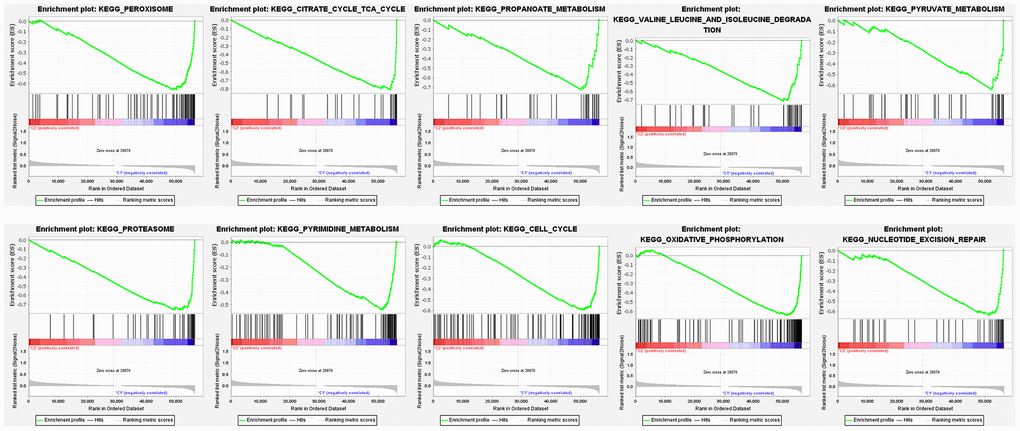 Gene set enrichment analysis of enriched signaling pathways.