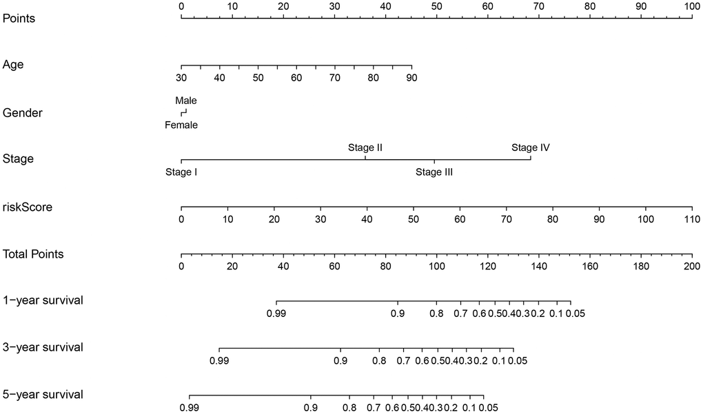 Prognostic nomogram incorporating the risk score model and clinicopathological characteristics.