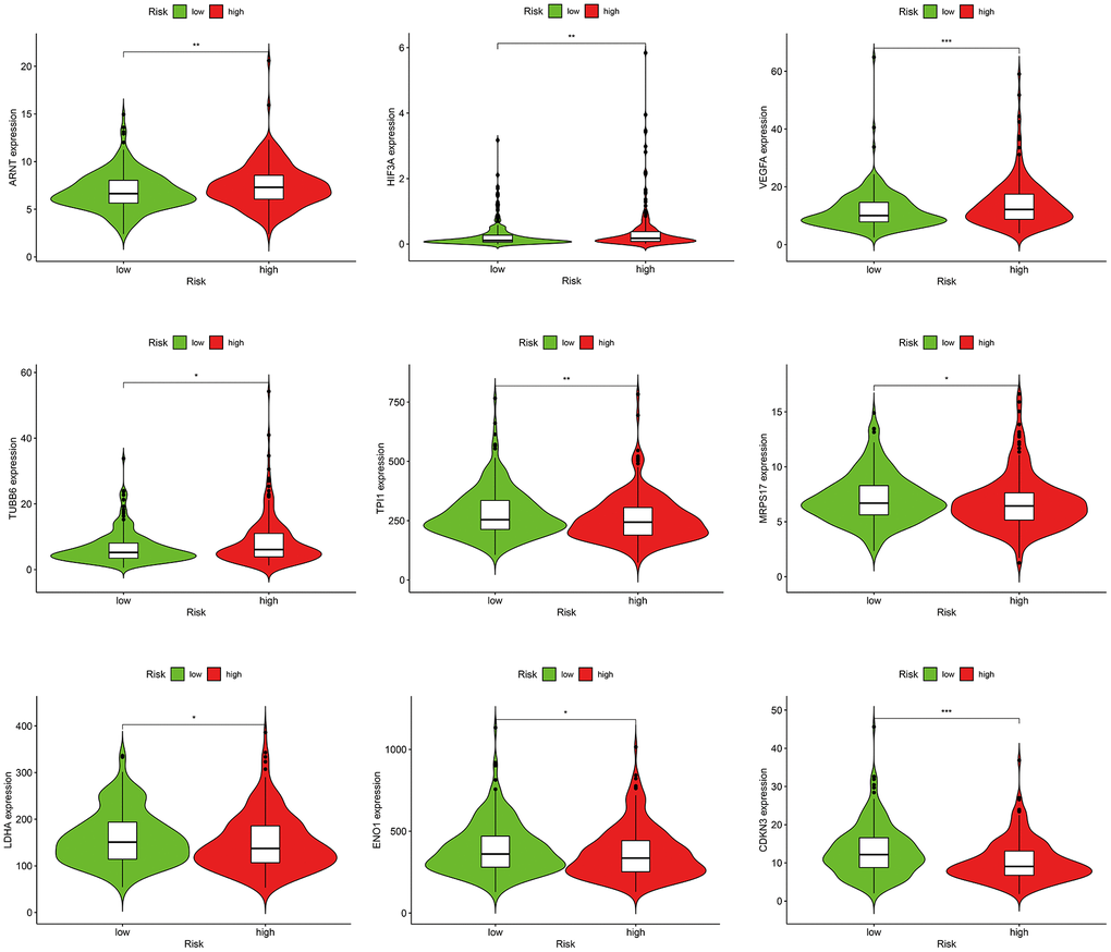 Correlations between the risk score model and hypoxia-related factors.