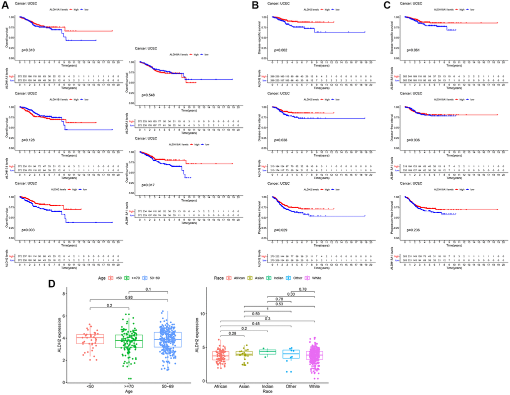 The prognostic value of the ALDH family. (A) Kaplan–Meier survival curves by OS. (B) Kaplan–Meier survival curves by PFI, DSS, and DFI of ALDH2. (C) Kaplan–Meier survival curves by PFI, DSS, and DFI of ALDH18A1. (D) The relationship between clinicopathological characteristics and the expression of ALDH2.