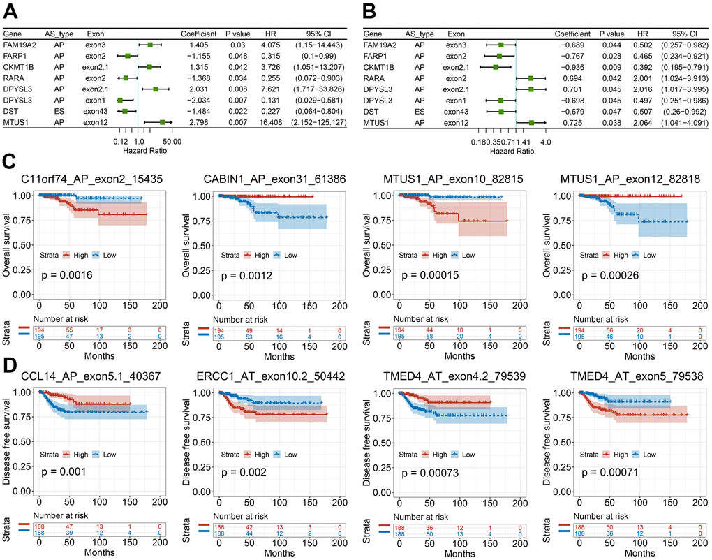 Survival-associated CASEs in PTC. (A, B) Forest plots of hazard ratios for eight CASEs simultaneously associated with OS (A) and DFS (B). (C, D) Kaplan-Meier curves of representative genes associated with OS (C) and DFS (D).