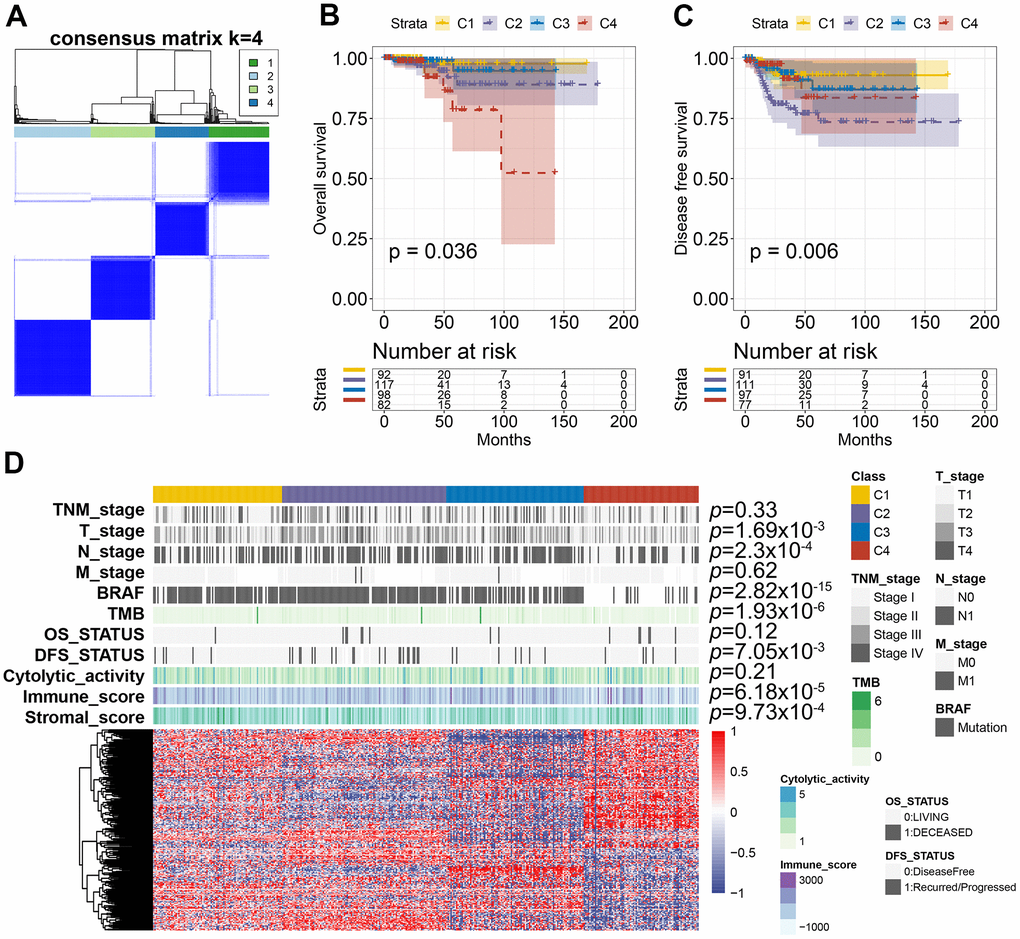 AS-based clusters significantly associated with prognosis, molecular characteristics, and immune features. (A) Consensus clustering analysis identified four clusters. The white (consensus value = 0, samples never clustered together) and blue (consensus value = 1, samples always clustered together) heatmap display sample consensus. (B) Kaplan-Meier curves show the OS for four AS-based clusters. (C) Kaplan-Meier curves show the DFS for four AS-based clusters. (D) Heatmap shows the molecular characteristics associated with clinical, molecular, and immune features among the four clusters.