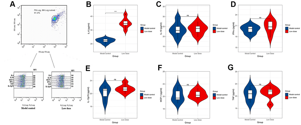 CBA method to detect changes in the expression level of cytokines in serum of mice. (A) Expression level of cytokines in serum of mice. (B–G) Expression levels of IL-6, IL-10, MCP-1, TNF, IFN-γ and IL-12p70 in serum of mice. *P P P 