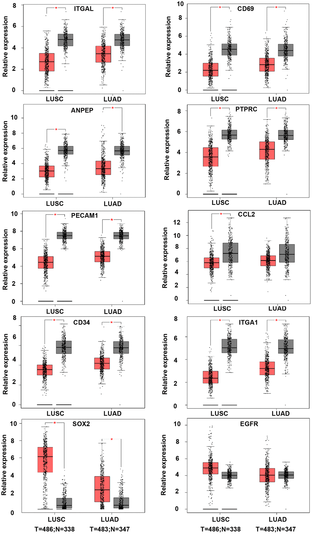 The expression of hub genes in LUSC and LUAD samples of TCGA. The LUAD database was containing 486 tumor and 338 normal samples. LUAD datasets was containing 483 tumor and 347 normal samples. ANPEP, CD69, ITGAL, PTPRC, ITGA1, CCL2, and PECAM1 were down-regulated in both LUSC and LUAD samples. SOX2 was up-regulated in both LUSC and LUAD samples. There was no significant different on EGFR expression between tumor and normal samples (*P 