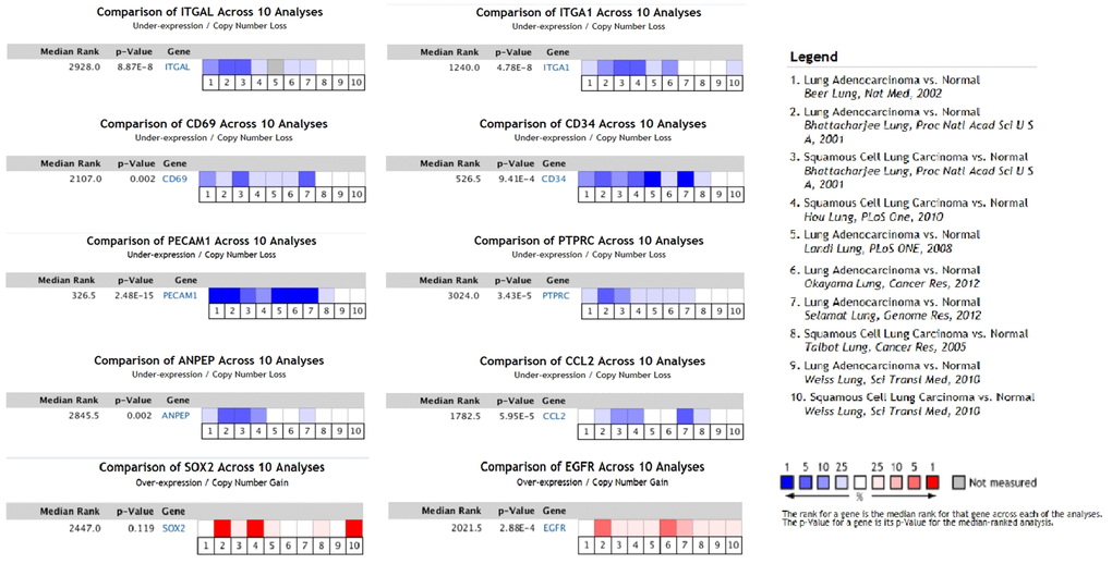 The expression of hub genes in Oncomine™. Six LUAD and four LUSC datasets were selected and the expression of the hub genes was compared across the ten datasets. Normal tissues were chosen as control. Blue colors represented under-expression, and red colors referred to over-expression of hub genes. Colors were shown in blue or red from light to dark according to the quantity of expression (from low to high). ANPEP, CD69, ITGAL, PTPRC, ITGA1, CCL2, and PECAM1 were considered to down-regulate in LUSC and LUAD datasets (P P P = 0.119).