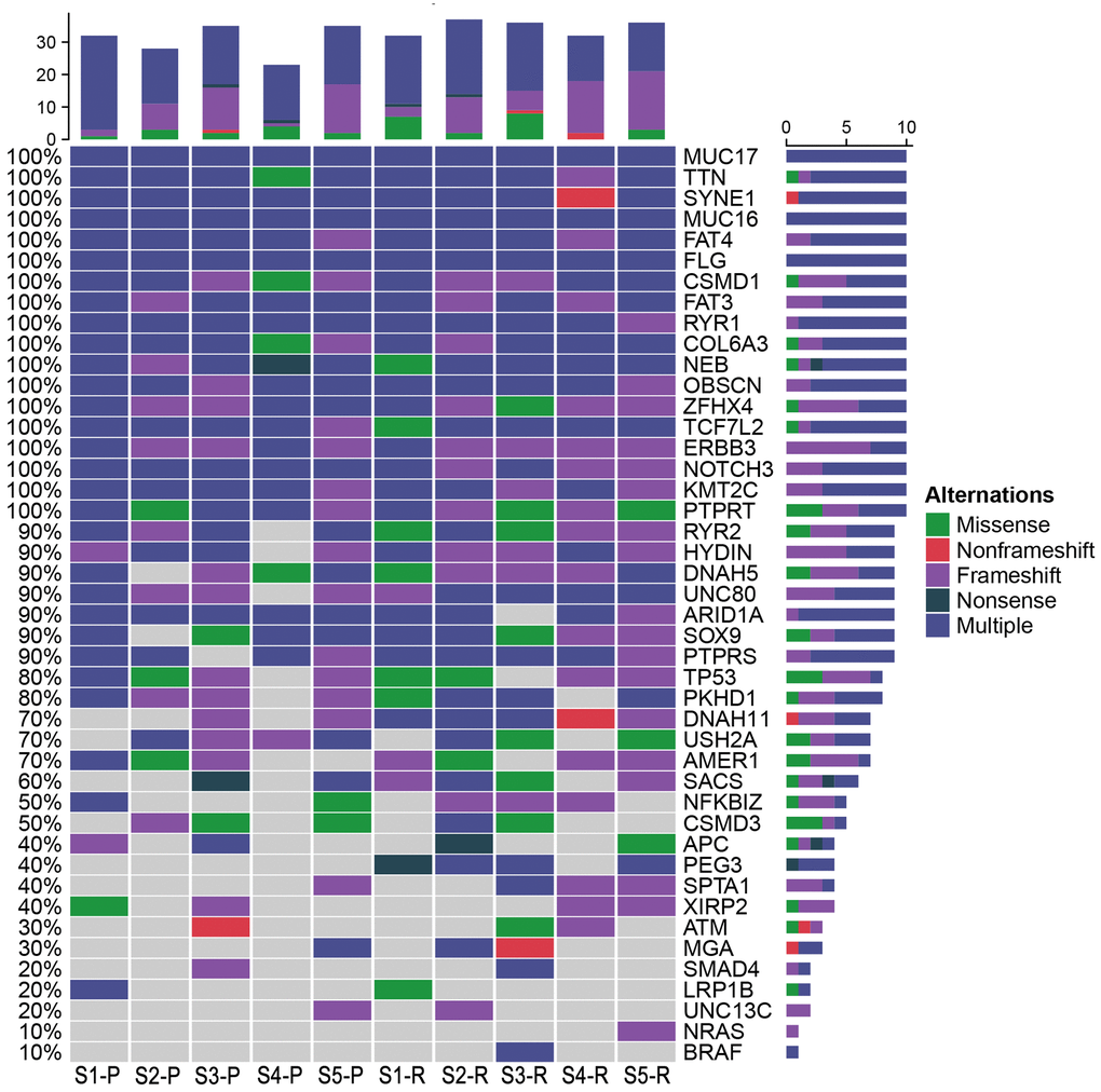 Potential driver genes related to LRRC. Forty-eight genes included (1) genes reported as significantly mutated genes in the previous study in CRC; (2) genes with a higher mutation rate in the cohort (TCGA Freq≥10%; MSK Freq≥5%).