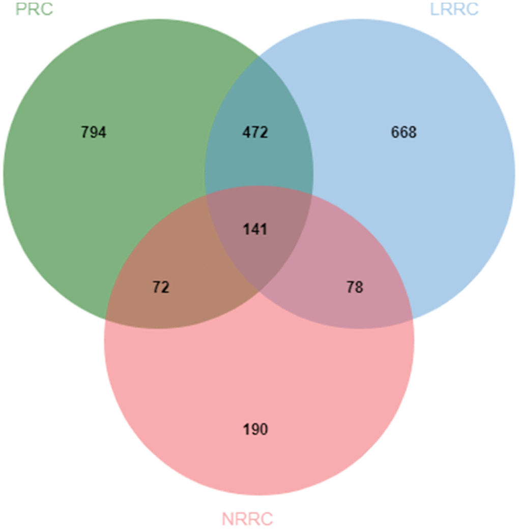 Venn diagram of likely pathogenic genes associated with PRC, LRRC, and NRRC. PRC, primary rectal cancer; NRRC, non-recurrent rectal cancer; LRRC, local recurrent rectal cancer.