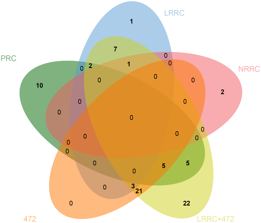 Venn diagram of specific pathways in PRC, LRRC, NRRC, 472, and LRRC+472. 472, 472 common genes; LRRC+472, LRRC+ 472 common genes.