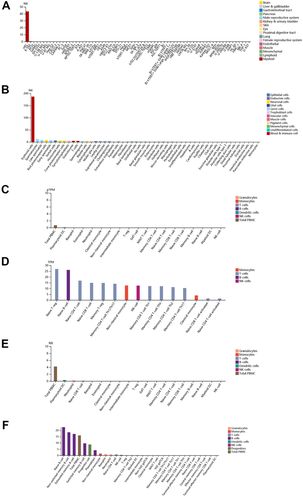 Detailed expression information of EPB42 in different kinds of cells and tissues. (A) Expression situation of EPB42 in different tissues; (B) Expression situation of EPB42 in different kinds of cells; (C–F) Expression situation of EPB42 in different immune cells.