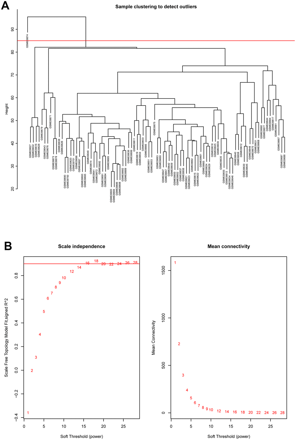 (A) Cluster dendrogram of samples in GSE26049 to detect outliers. The dendrogram branches represented the clustered samples. (B) Selection of soft threshold power value through WGCNA analysis. The left panel showed the scale-free model fit index (y axis) as function of soft thresholding power value (x axis). Red line represented the y-axis value. Right panel displayed the mean connectivity (y axis) as a function of soft thresholding powers (x axis).