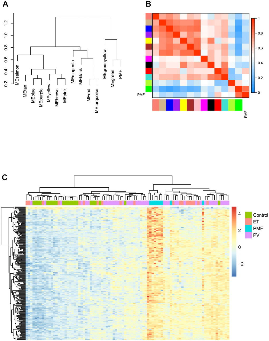 (A) The cluster dendrogram of adjacencies in the eigengene network. (B) The heat map of adjacencies in the eigengene network. Blue represented a negative correlation, while red represented a positive correlation. (C) Green module genes expression heat map of different groups (Control, ET, PV and PMF).
