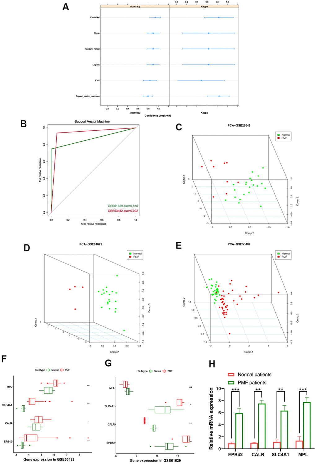 (A) Summary plot of different machine learning models. (B) ROC curves of support vector machine. (C–E) 3D scatter plot after principal component analysis of hub genes. (F) Expression values of hub genes between different groups in GSE53482. (G) Expression values of hub genes between different groups in GSE61629. ***: P  0.05. (H) Expression of the hub genes EPB42, CALR, SLC4A1, MPL between PMF patients and healthy donors collected at our institution.