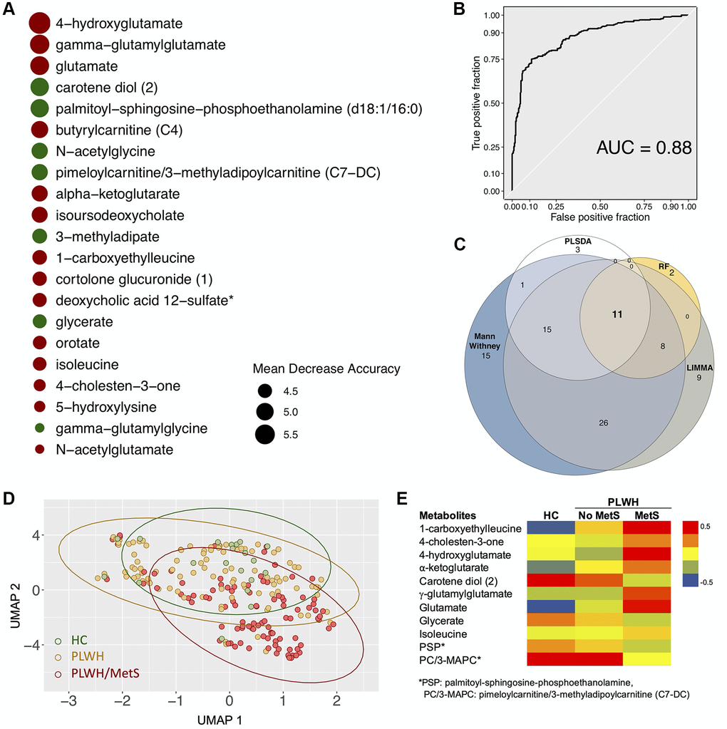 Biomarkers (n = 11) with differential abundance between PLWH and PLWH with MetS identified by four methodologies. (A) Bubble plot representing Random forest variable importance based on mean decrease accuracy (a measure of the model’s performance without each metabolite). Values are scaled by the standard error of the measure. Metabolites represented at the top of the figure are the most important for prediction. (B) Receiver Operating Characteristic (ROC) curve of random forest classifier. (C) Venn diagram summarizing biomarkers identified by Mann-Whitney U test, LIMMA, Random Forest (RF), and PLS-DA. (D) UMAP visualization of the 11 biomarkers. Controls (green) and PLWH (yellow) are segregating from PLWH with MetS (red). (E) Heatmap showing log2 intensities of the 11 biomarkers in HC, PLWH without MetS and PLWH with MetS.