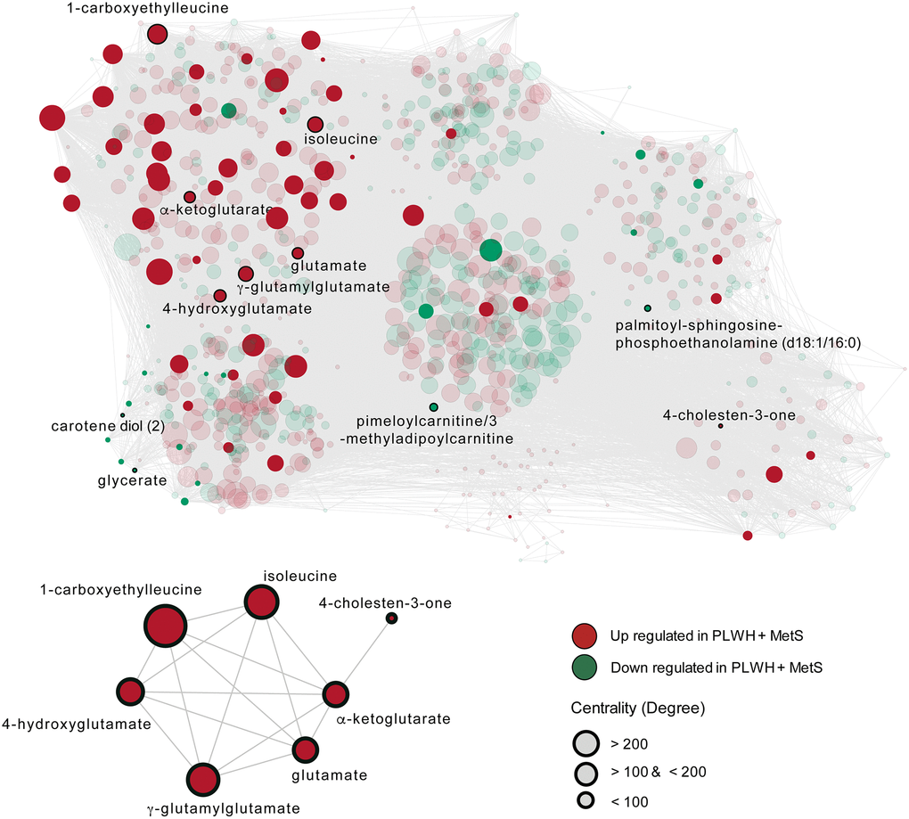 The metabolome-wide weighted co-expression network. A weighted metabolite co-expression network was generated (positive Spearman rank correlations, FDR 