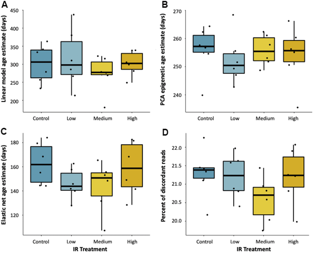 Effect of ionizing radiation on age-associated DNA methylation. Epigenetic age estimates for fish exposed to 7-weeks of ionizing radiation at various dose rates (0, 5, 50, and 500 mGy/day) as predicted by (A) a linear model, (B) PCA, and (C) elastic net age predictors. (D) Percent of reads with discordant methylation across exposure groups.