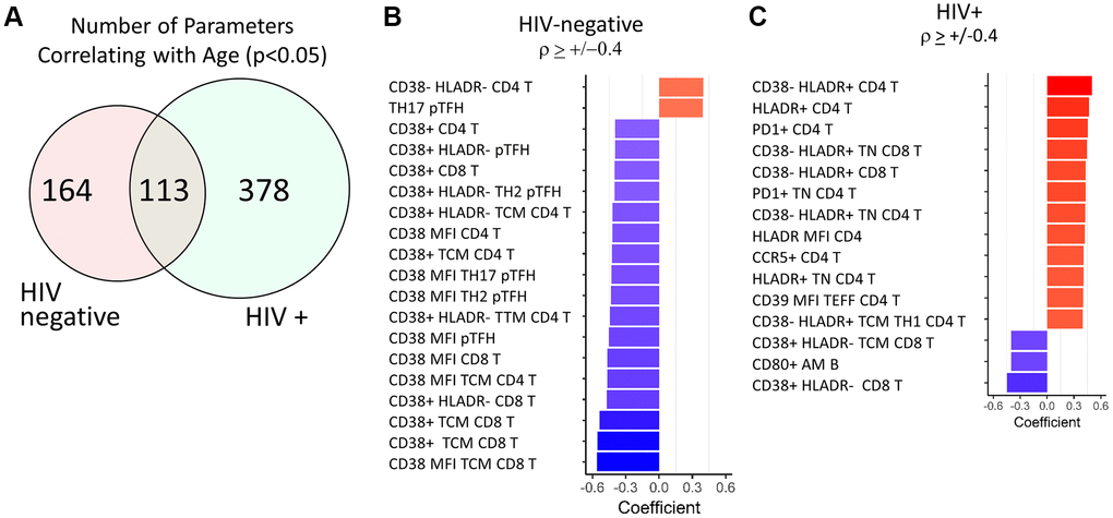 Top age-associated immunological parameters in HIV-negative and HIV-positive study participants. (A) Venn diagram showing the number of parameters with significant correlations with chronological age in HIV-negative (n = 103) and HIV-positive (n = 106) groups. Bar graph showing directionality of correlation coefficient for the top parameters with significant correlations with age in HIV-negative (B) and HIV-positive (C) participants. In red font are non-T cell parameters. Bold font indicates CD38 and HLADR containing parameters. Spearman test was performed for each parameter and chronological age, p 