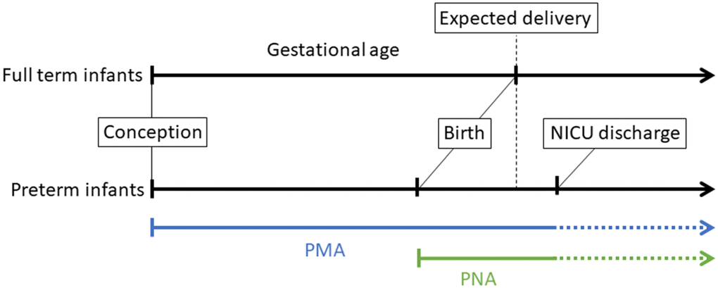 Illustration of different perinatal age metrics, measured in weeks and days, which we highlight for infants born preterm. Gestational age (GA) is defined as the time from conception to birth (expected delivery around 37-42 weeks typically refers to full-term birth, and 