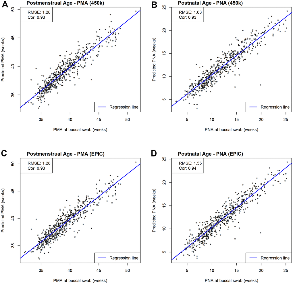 Scatterplots of estimated and measured age. Prediction performances are evaluated by RMSE and correlations between estimated and measured age metrics. (A) Scatterplots of estimated and measured PMA using our 450k NEOage clocks within NOVI. (B) Scatterplots of estimated and measured PNA using our 450k NEOage clocks within NOVI. (C) Scatterplots of estimated and measured PMA using our EPIC NEOage clocks within NOVI. (D) Scatterplots of estimated and measured PNA using our EPIC NEOage clocks within NOVI.