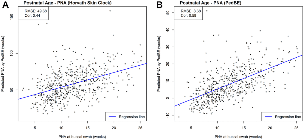 Scatterplots of PNA estimated by (A) Horvath’s skin-blood clock and (B) PedBE and measured PNA within NOVI. Prediction performances are evaluated by RMSE and correlations between estimated and measured PNA.