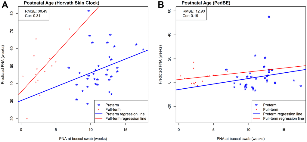 Scatterplots of measured PNA and PNA estimates by (A) Horvath’s skin-blood clock and (B) PedBE in an external saliva data set (GSE72120 [18]). This saliva data set was measured by the 450k array and included full-term (red) and preterm (blue) infants. The reported prediction performances, RMSE and correlation coefficients, between estimated and measured age metrics are based on preterm infants only.