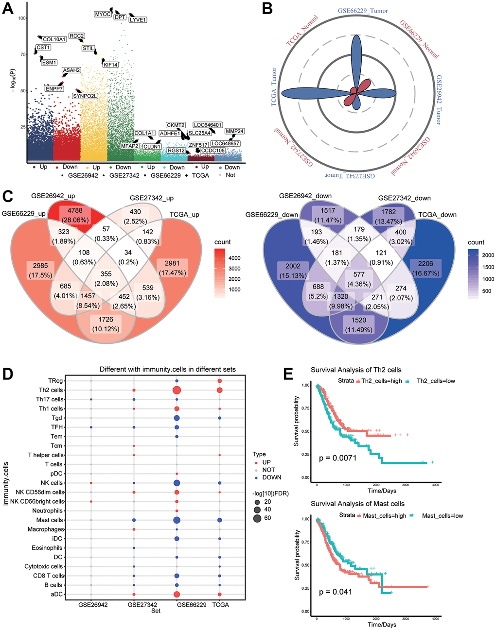 Differentially expressed genes (DEGs) and immune cell infiltration in gastric cancer and normal tissues. (A) DEGs between gastric cancer and normal tissues in The Cancer Genome Atlas (TCGA) as well as GSE26942, GSE27342, and GSE66229 datasets. (B) Petal plots of sample size for four sets of gastric cancer-related data. (C) Overexpressed (left panel) and under expressed (right panel) genes considered as DEGs in the TCGA data. (D) Differential infiltration of immune cells between gastric cancer and normal tissues. (E) Kaplan–Meier curves showed that immune cell infiltration was related to overall survival of gastric cancer patients.
