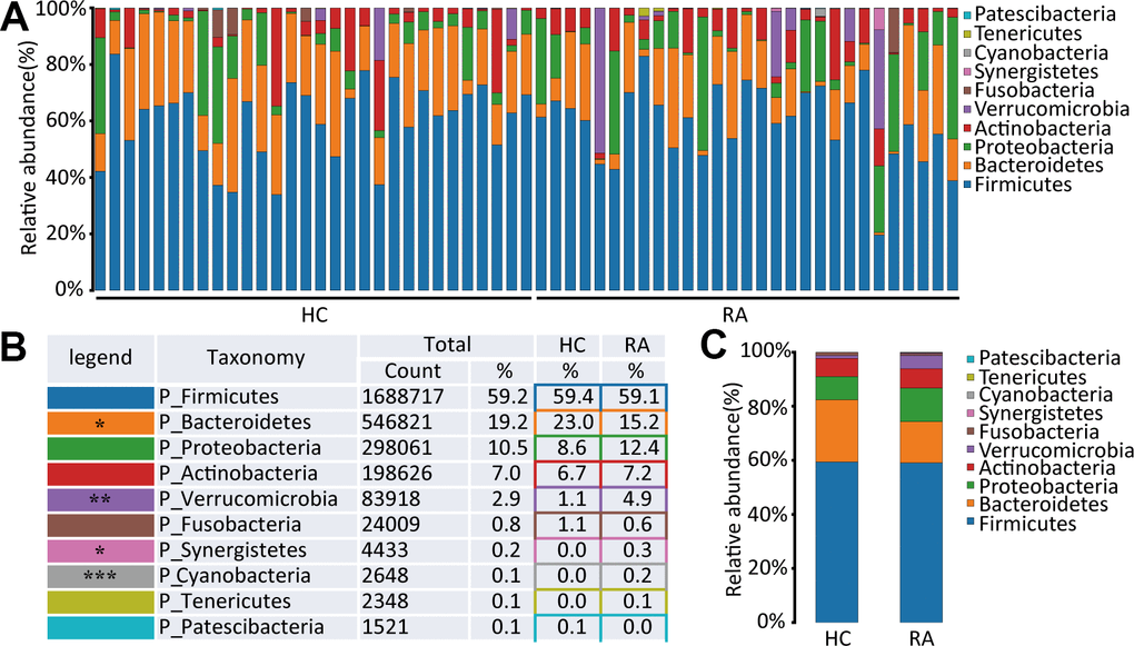 The species abundance at phylum level. (A) Relative abundance of gut microbiota in every samples at phylum level, n=30 for HC group and n=29 for RA group. (B, C) Component proportion of gut microbiota at phylum level in HC and RA group.