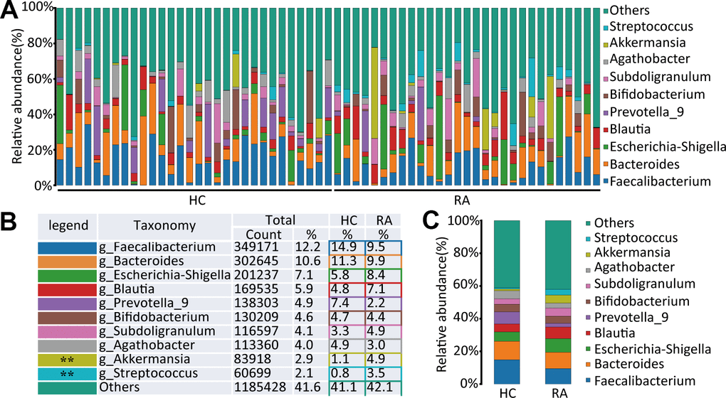 The species abundance at genus level. (A) Relative abundance of gut microbiota in every samples at the genus level, n=30 for HC group and n=29 for RA group. (B, C) Component proportion of gut microbiota at the genus level in HC and RA group.