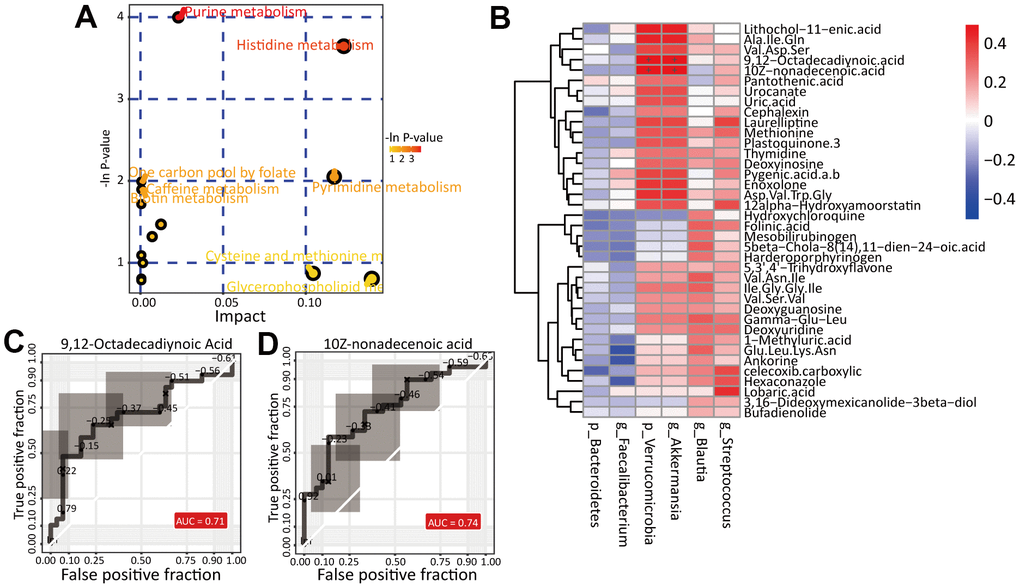 Identification of potential biomarkers. (A) The pathway analysis of differential metabolites. (B) Correlation analysis of differential gut microbiota and differential metabolites between HC and RA group. The ROC curve of biomarker analysis for 9,12-Octadecadiynoic Acid (C) and 10Z-nonadecenoic acid (D).