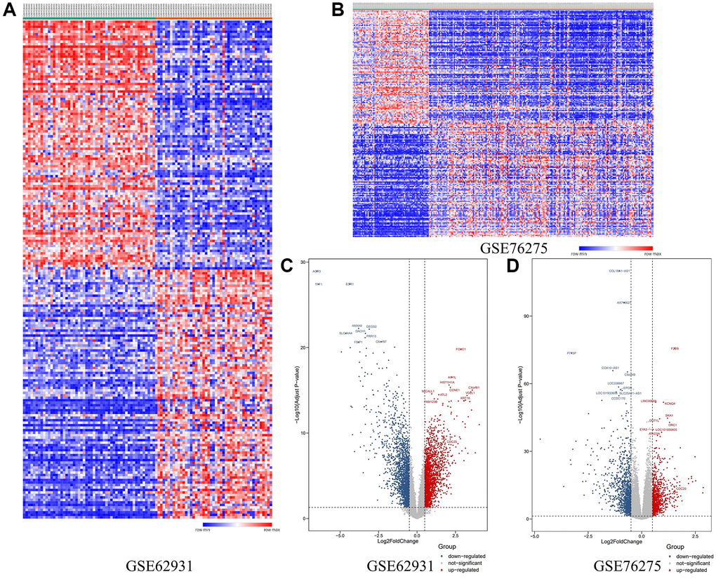 (A) The heat-map of DEGs in GSE62931. (B) The heat-map of DEGs in GSE 76275. (C) Volcano plot of DEGs in GSE62931. (D) Volcano plot of DEGs in GSE76275.