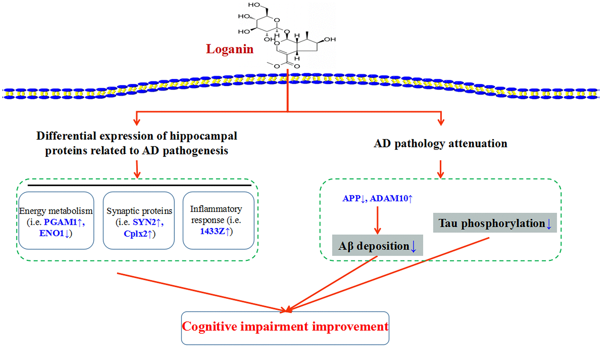 class="figure-viewer-img"